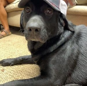 Meet your Posher, Keith